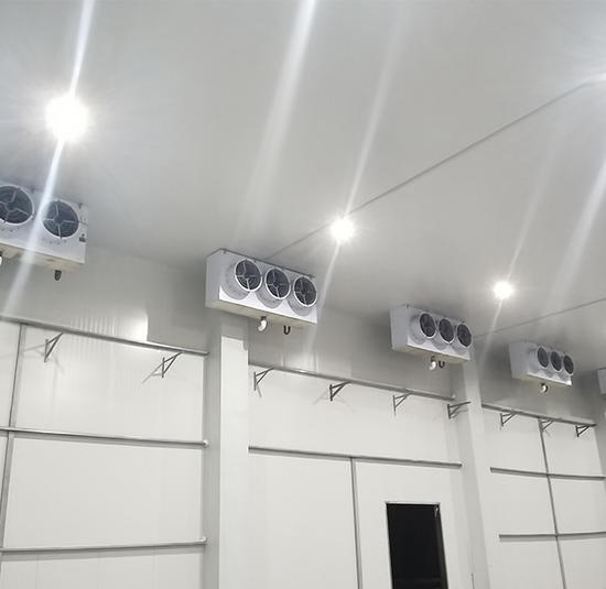 Air Cooler Project For Areca Storage Room