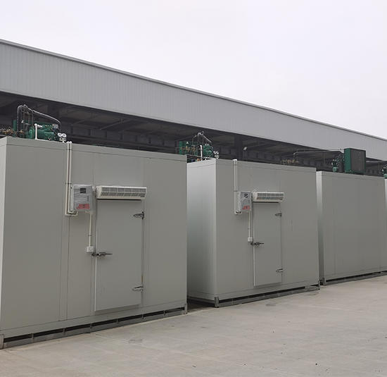 Condensing Unit Project For Agricultural Trade Market
